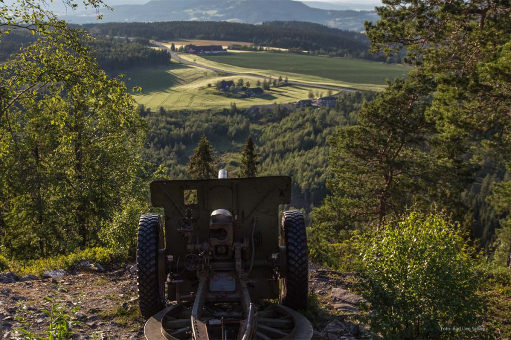 Bilde av kanon på Bergugleberget som er en del av Værdalske Befestninger