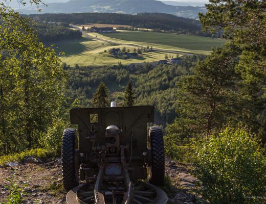 Bilde av kanon på Bergugleberget som er en del av Værdalske Befestninger