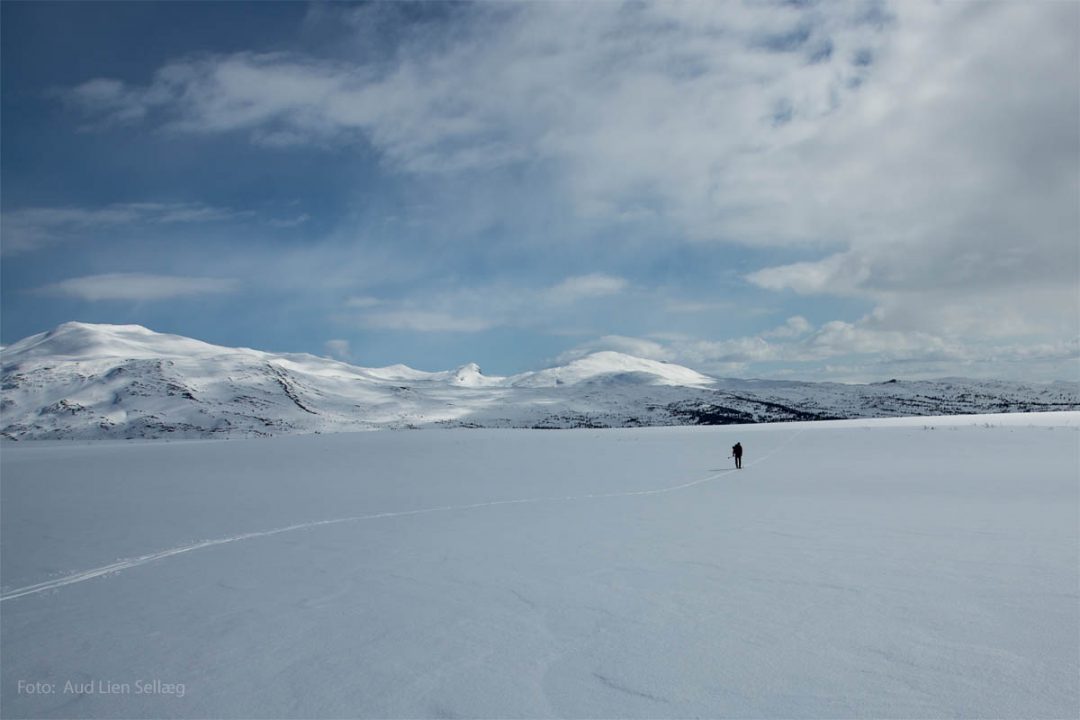 Bilde av skitur i Verdal Sæterfjellet