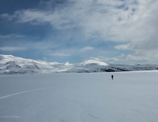 Bilde av skitur i Verdal Sæterfjellet